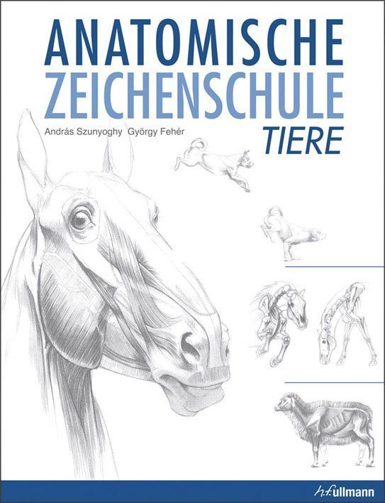 Anatomische Zeichenschule Tiere Für Anfänger Und Fortgeschrittene