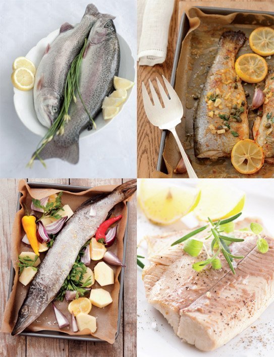 Leseprobe Frischer Fisch aus heimischen Gewässern