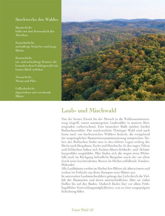 Leseprobe Unser Wald