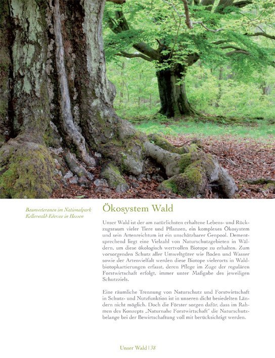 Leseprobe Unser Wald