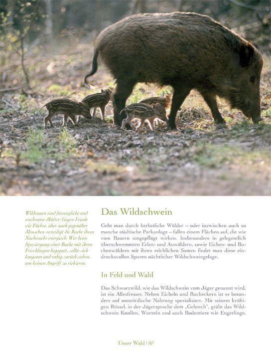 Leseprobe Unser Wald