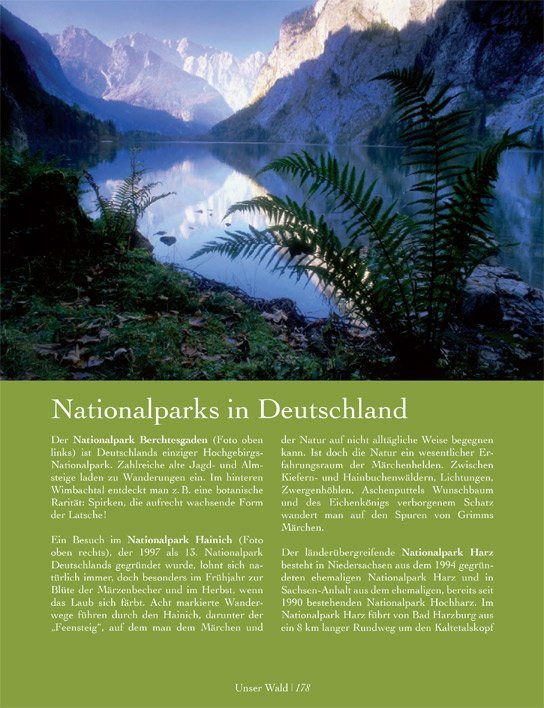 Leseprobe Unser Wald