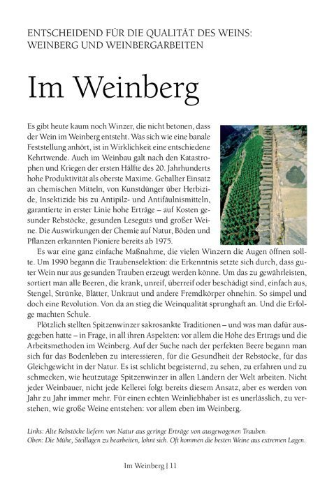 Wein Guide für Kenner