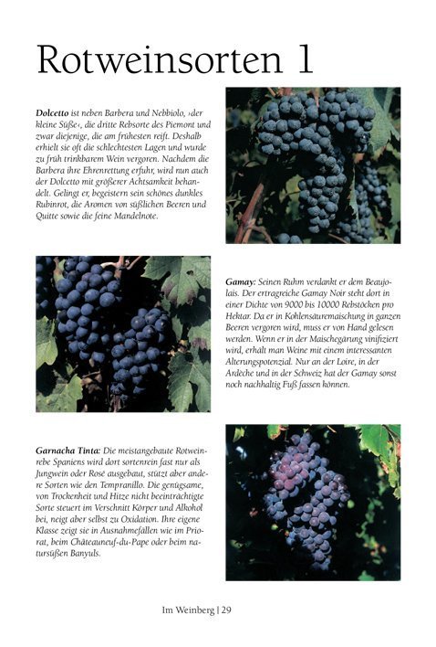 Wein Guide für Kenner