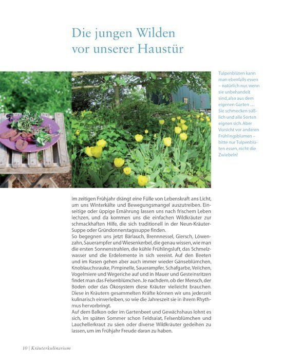 Leseprobe Das Kräuter-Kulinarium