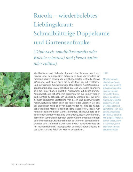 Leseprobe Das Kräuter-Kulinarium