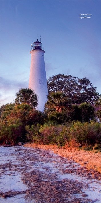 Leseprobe Reiseführer Florida