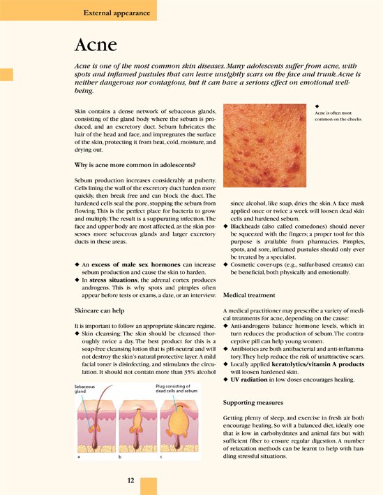 Atlas Of Anatomy Buy Book Online Ullmann Medien