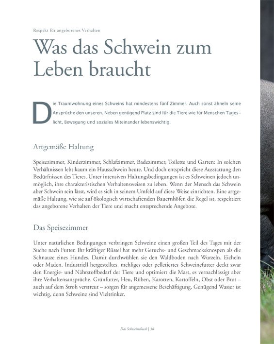Leseprobe Das Schweinebuch