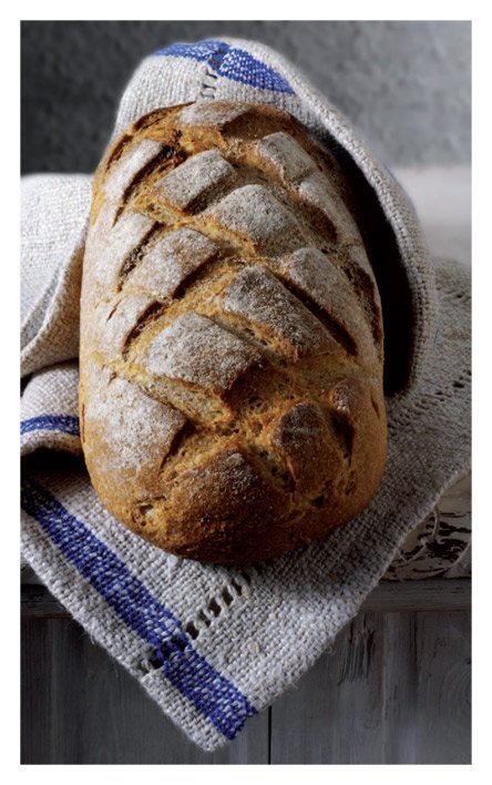 Leseprobe Vom Brot