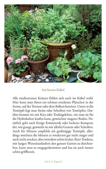 Leseprobe Die Liebe zu den Kräutern