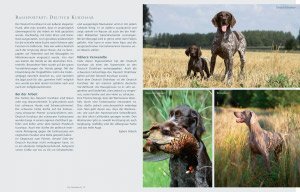 Beschreibung des Deutschen Kurzhaar in "Das Hundebuch"