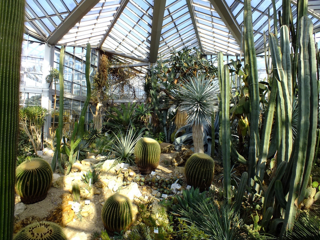 Abtauchen in eine andere Welt – das Tropicarium / Foto: © volkersworld, Flickr