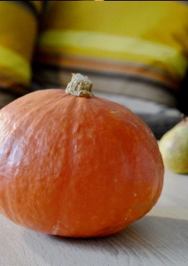 superfood-kuerbis-vorschau