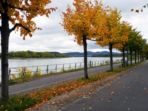 Die Rheinpromenade