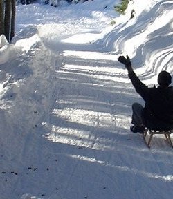 Die 5 schönsten Rodelbahnen in Deutschland