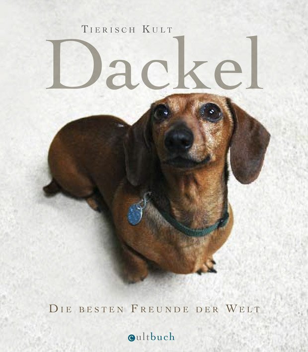 dackelbuch-buch-978-3-938428-29-0