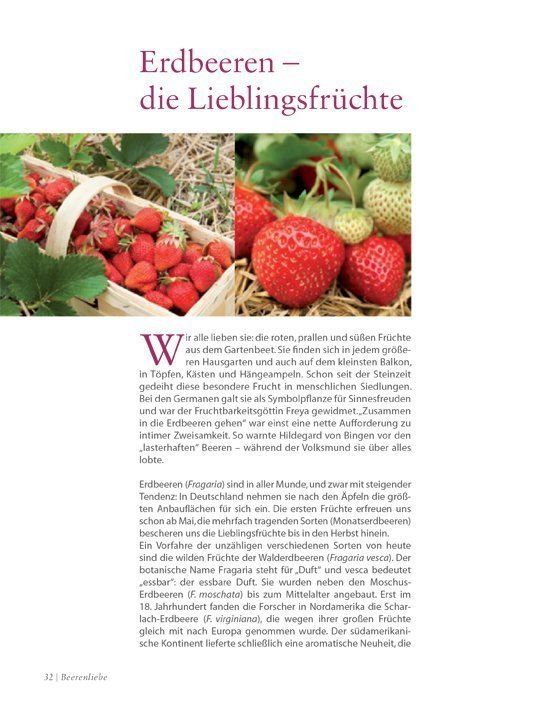 Leseprobe Beerenliebe
