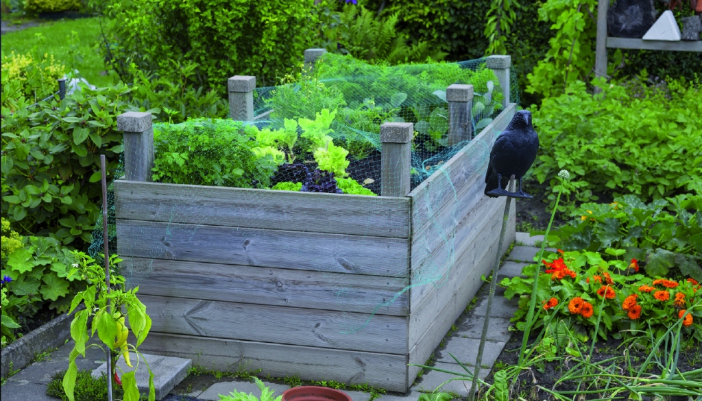 Anlegen Eines Hochbeetes Im Garten Für Garten und Balkon - Selbst ein Hochbeet anlegen