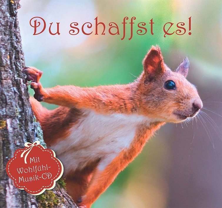 Du schaffst es! Buch online kaufen Ullmann Medien