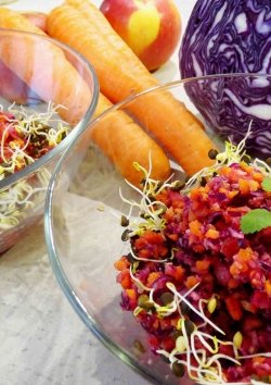 Rohkost-Salat aus Obst und Gemüse: gesund und lecker!