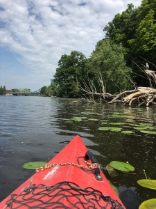 Wassersport inmitten idyllischer Natur: Kajaktour auf der Havel