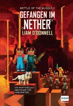 Gefangen_Nether_Bd_2-buch-978-3-7415-2168-3