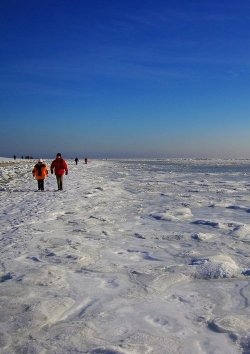 Wochenendtipp: Amrum im Winter