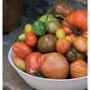 Buchinnenseite Tomaten - Meine Leidenschaft h.f.ullmann