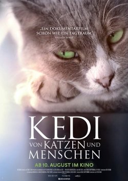 KEDI - Von Katzen und Menschen Gewinnspiel