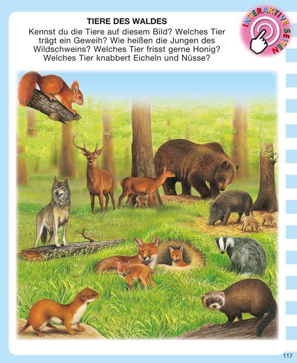 Mit der App scannen Kinderwissen mit App - Tiere