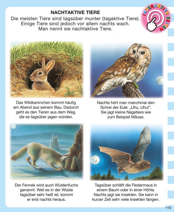 Mit der App scannen Kinderwissen mit App - Tiere