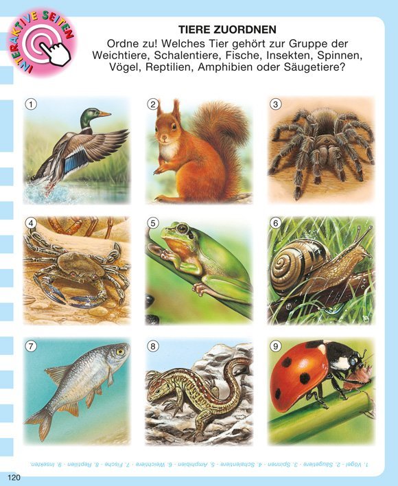 Mit der App scannen Kinderwissen mit App - Tiere