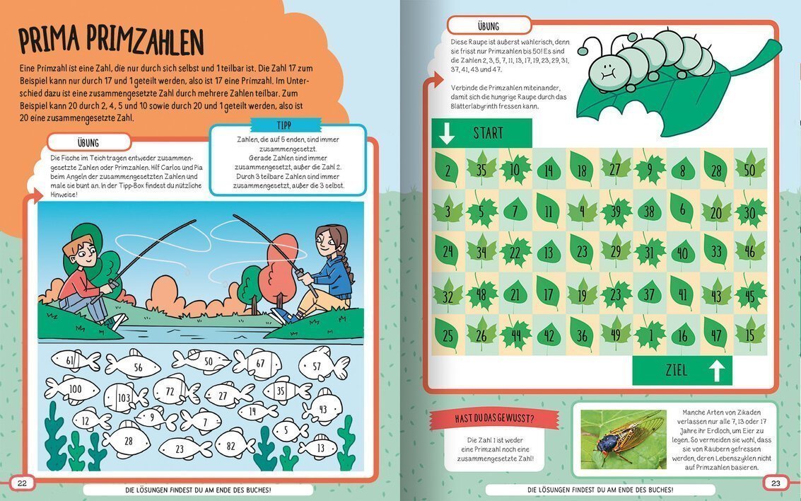 buchinnenseiten-MintMathematik3-978-3-7415-2444-8