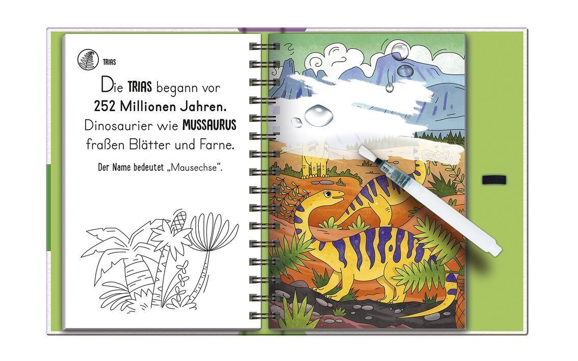 Ein aufgeschlagenes Buch über die Trias-Zeit mit Informationen zu Dinosauriern wie dem Mussaurus, der Blätter und Farne fraß, illustriert mit bunten Bildern von Pflanzen und einer Zeichnung des Dinosauriers.