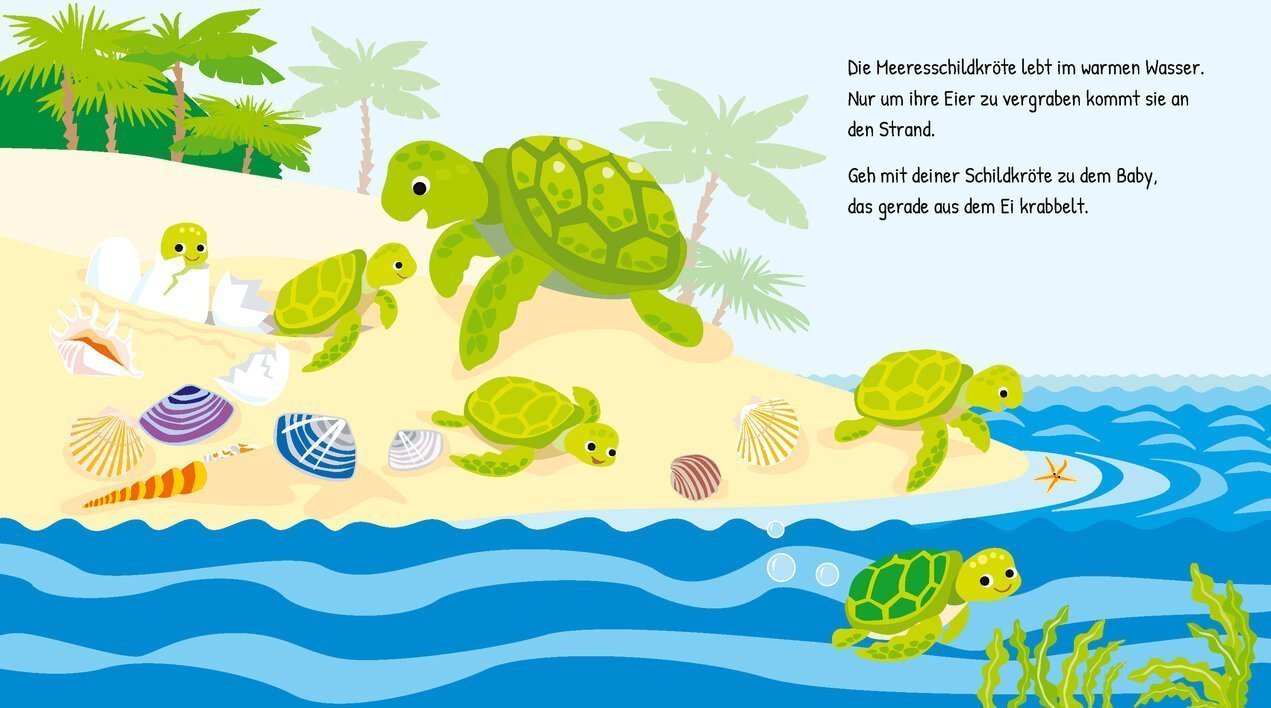 buchinnenseiten-Meerestiere1-978-3-7415-2438-7