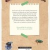 buchinnenseiten-Naturfuehrer-Insekten1-978-3-7415-2466-0