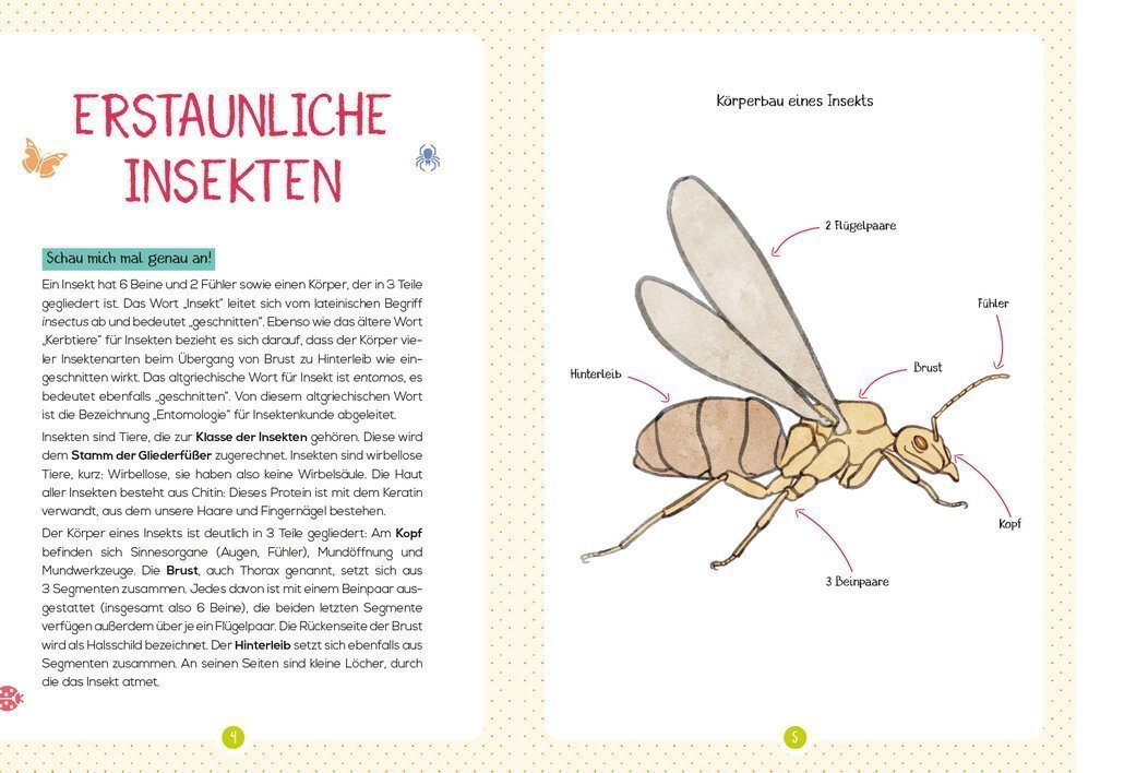 buchinnenseiten-Naturfuehrer-Insekten2-978-3-7415-2466-0