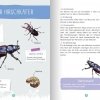 buchinnenseiten-Naturfuehrer-Insekten3-978-3-7415-2466-0