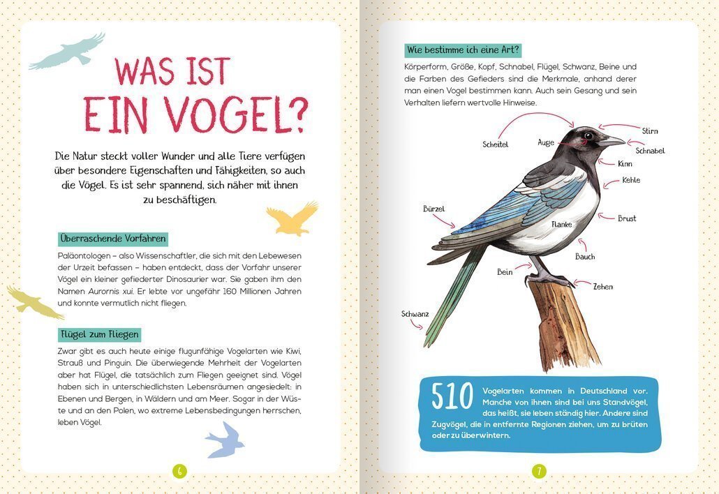 buchinnenseiten-NaturfuehrerVoegel2-978-3-7415-2464-