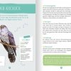 buchinnenseiten-NaturfuehrerVoegel4-978-3-7415-2464-