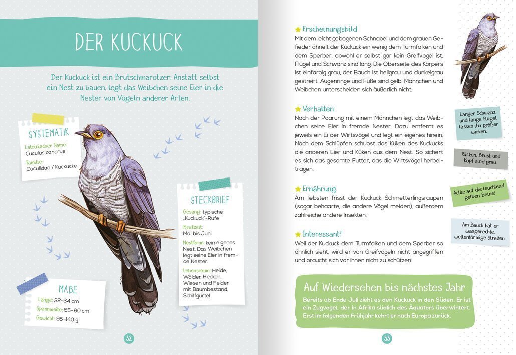 buchinnenseiten-NaturfuehrerVoegel4-978-3-7415-2464-