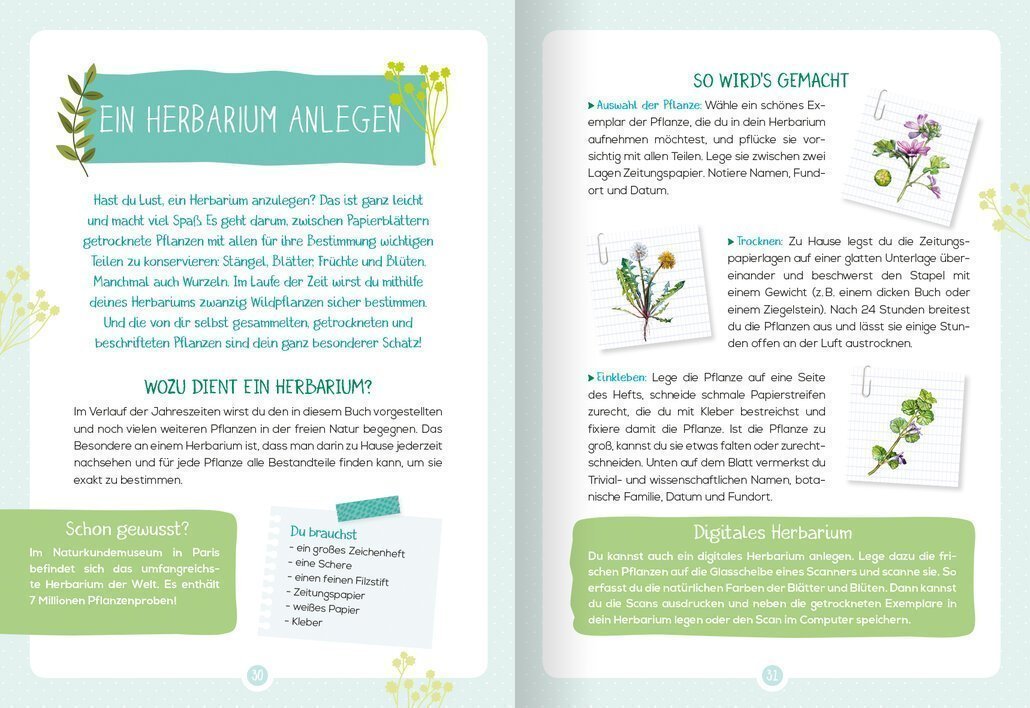 buchinnenseiten-Naturfuehrer_Wildkraeuter3-978-3-7415-2476-9
