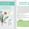 buchinnenseiten-Naturfuehrer_Wildkraeuter4-978-3-7415-2476-9