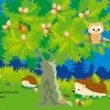 buchinnenseiten-Wald1-978-3-7415-2439-4