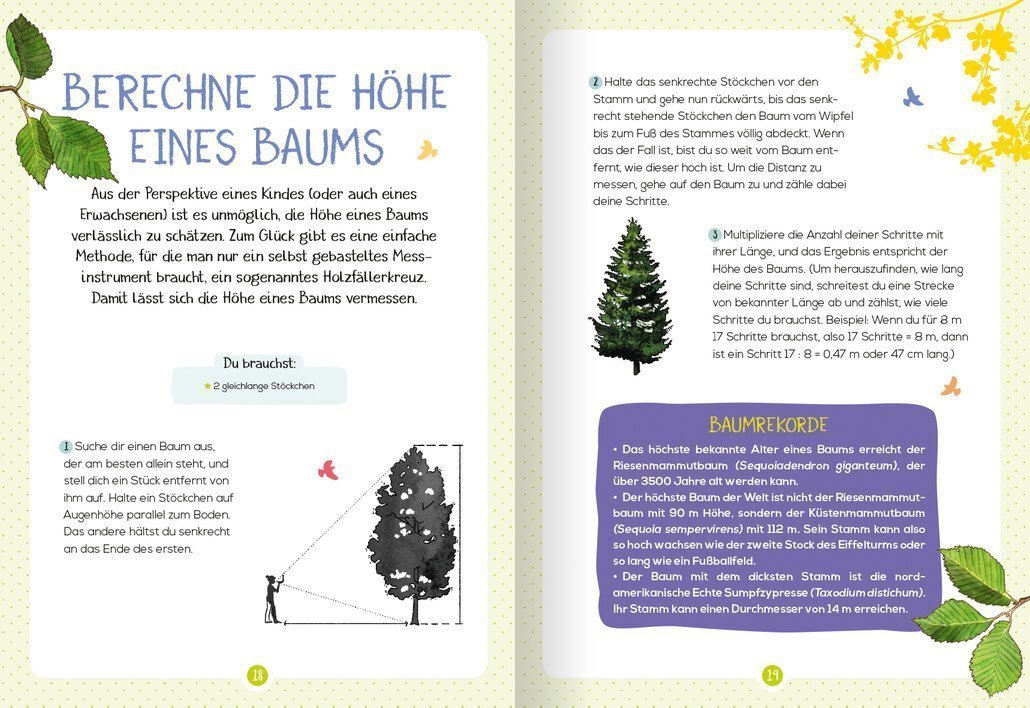buchinnenseiten-Naturführer_Baume2-978-3-7415-2465-3