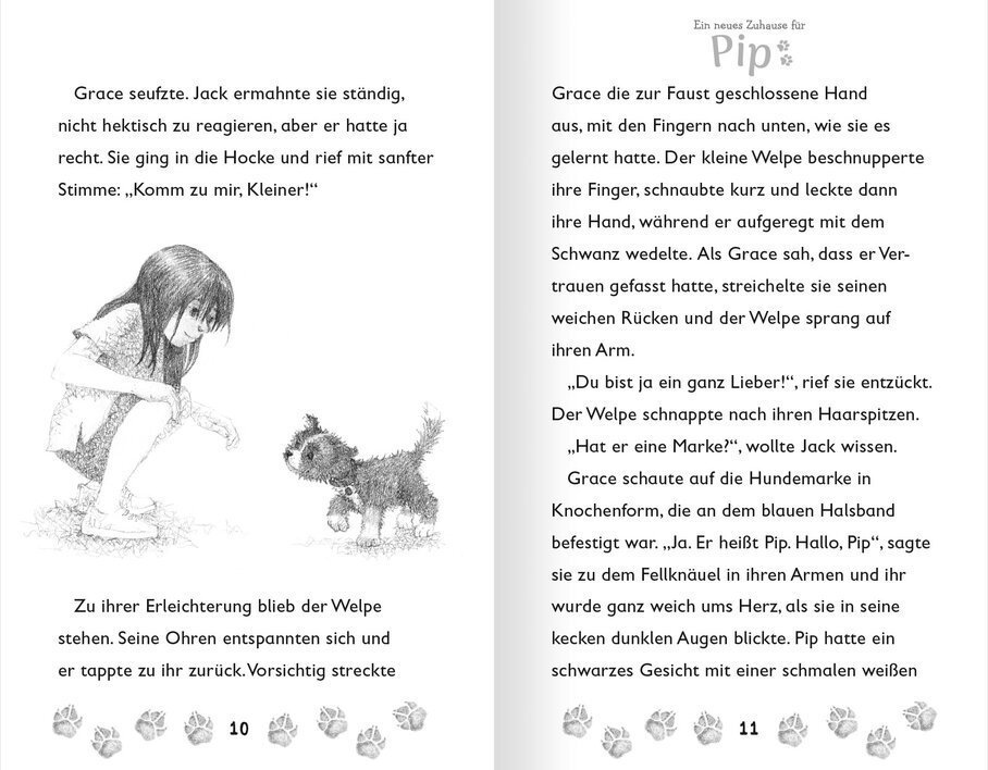 buchinnenseiten-Pip2-978-3-7415-2533-9