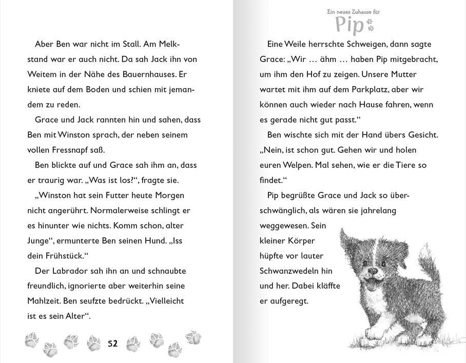 buchinnenseiten-Pip4-978-3-7415-2533-9