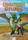 Drachensturm_Ellis_und_Pfadsucher-buch-978-3-7415-2677-0