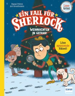 EinFallfuerSherlockWeihnachteninGefahr-buch-978-3-7415-2727-2